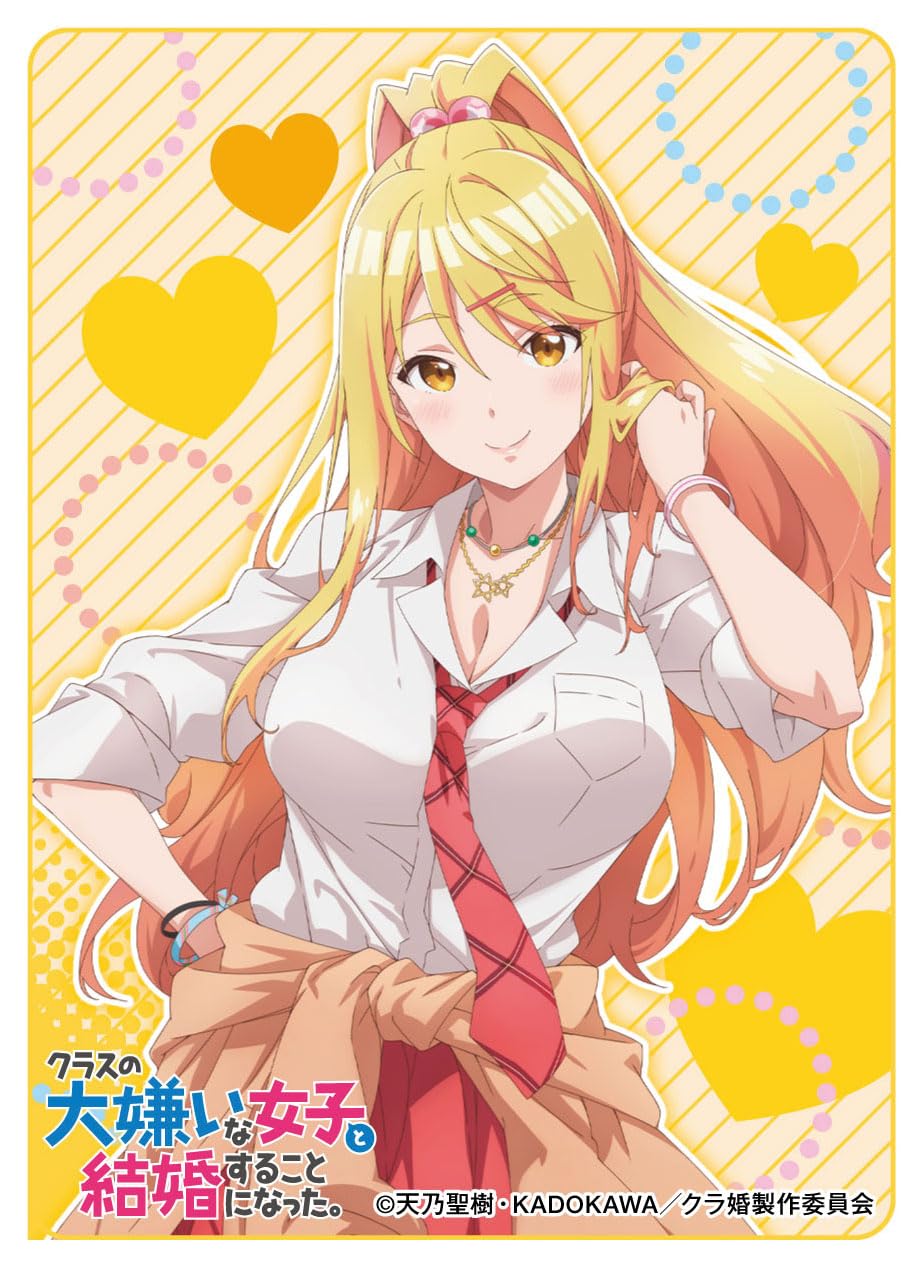萌黄色大好き様 3点おまとめリクエスト Amazon | エンスカイ(ENSKY) キャラクタースリーブ TVアニメ クラスの